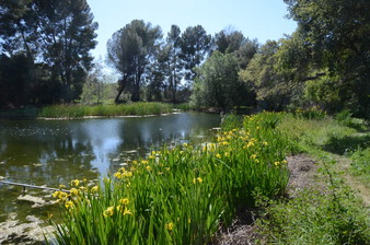 Enlarge photo 38