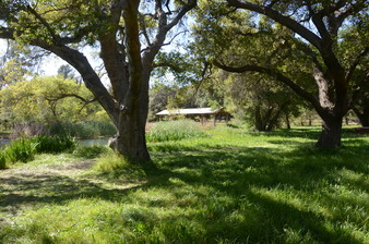 Enlarge photo 40