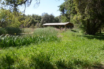 Enlarge photo 42