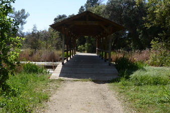 Enlarge photo 43