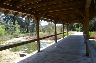 Enlarge photo 45