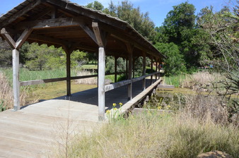 Enlarge photo 46