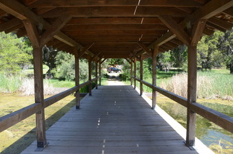 Enlarge photo 47