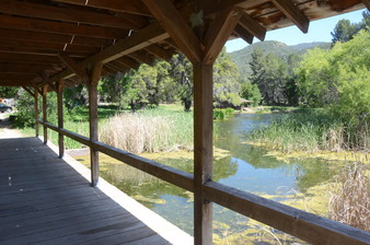 Enlarge photo 48