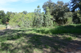 Enlarge photo 51