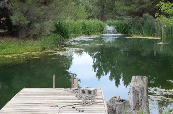 Enlarge photo 55