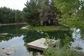 Enlarge photo 56