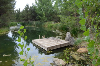 Enlarge photo 60