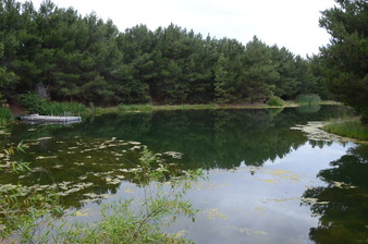 Enlarge photo 62