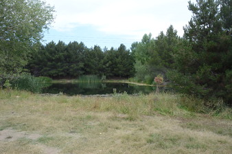 Enlarge photo 65
