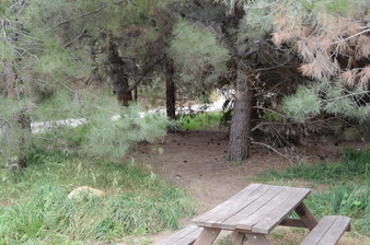 Enlarge photo 68