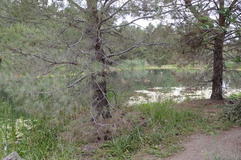 Enlarge photo 79