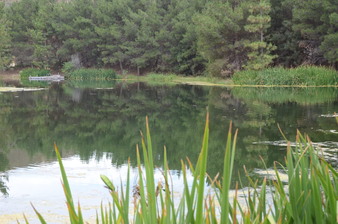 Enlarge photo 81