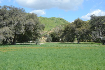 Enlarge photo 84