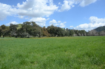 Enlarge photo 85