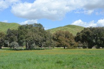 Enlarge photo 87