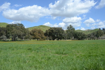 Enlarge photo 88
