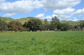 Enlarge photo 90