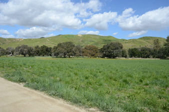 Enlarge photo 91