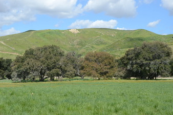 Enlarge photo 92