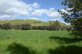 Enlarge photo 93