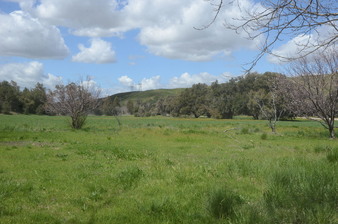Enlarge photo 94