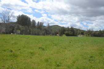 Enlarge photo 95