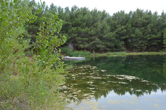 Enlarge photo 96
