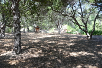 Enlarge photo 1