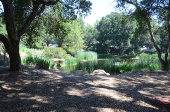 Enlarge photo 4