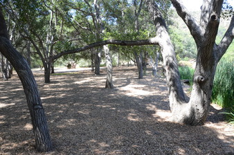 Enlarge photo 6