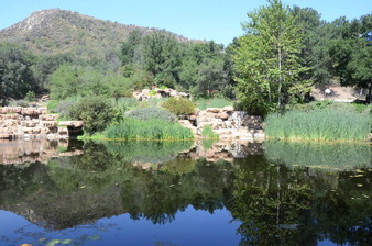 Enlarge photo 7