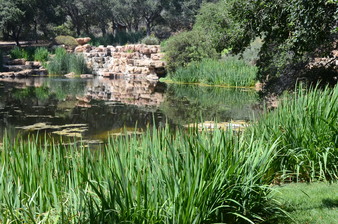 Enlarge photo 10