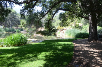 Enlarge photo 11