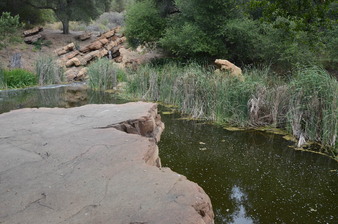 Enlarge photo 22