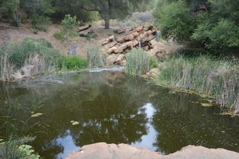 Enlarge photo 23