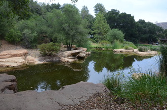 Enlarge photo 26