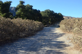 Enlarge photo 28