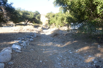 Enlarge photo 30