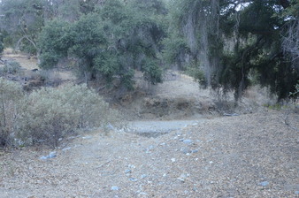 Enlarge photo 36