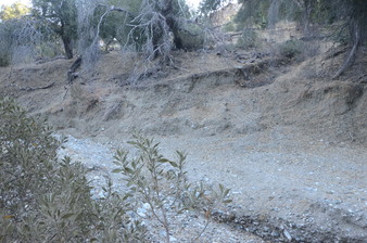 Enlarge photo 37