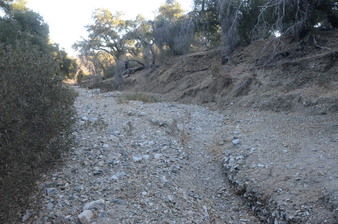 Enlarge photo 39