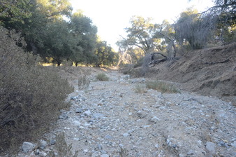 Enlarge photo 41