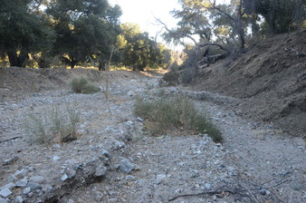 Enlarge photo 44