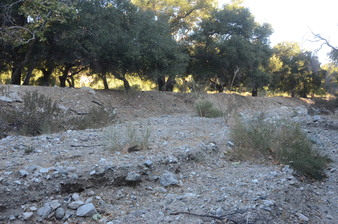 Enlarge photo 46