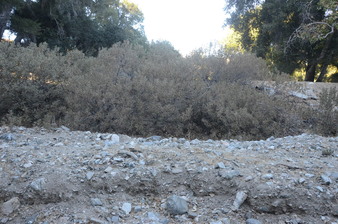 Enlarge photo 47