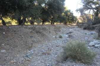 Enlarge photo 53