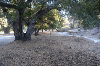 Enlarge photo 55