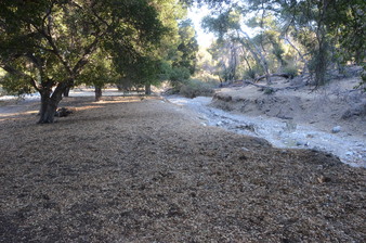 Enlarge photo 58