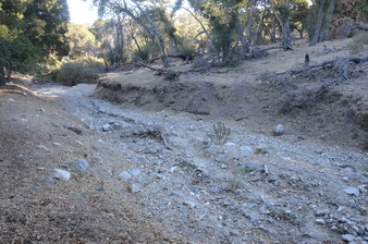 Enlarge photo 61